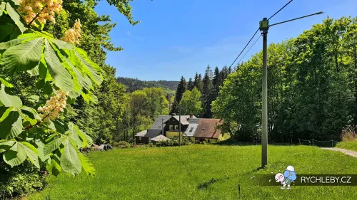 travna-093.webp