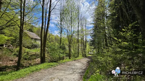 travna-094.webp