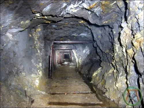 uran-zalesi-10.webp