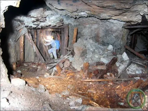 uran-zalesi-16.webp