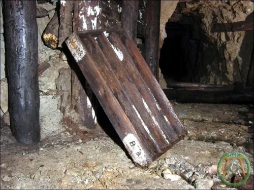 uran-zalesi-21.webp