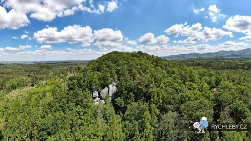 venusiny-misky-01.webp