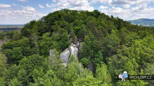 venusiny-misky-02.webp