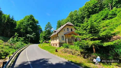 zalesi-005.webp