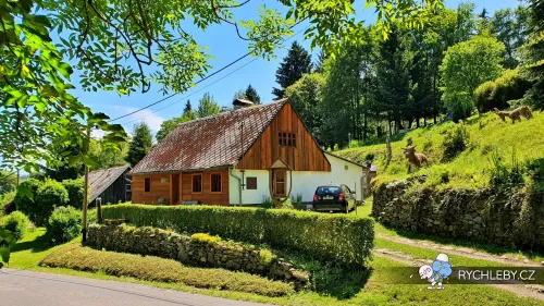 zalesi-010.webp