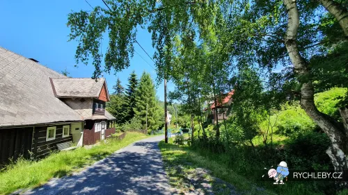 zalesi-015.webp