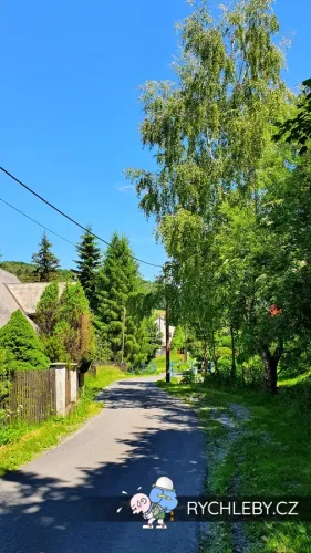 zalesi-016.webp