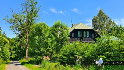 zalesi-029.webp