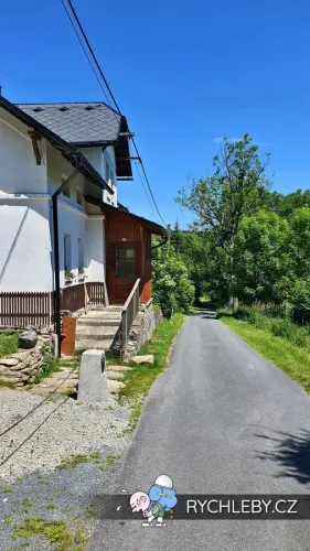 zalesi-032.webp