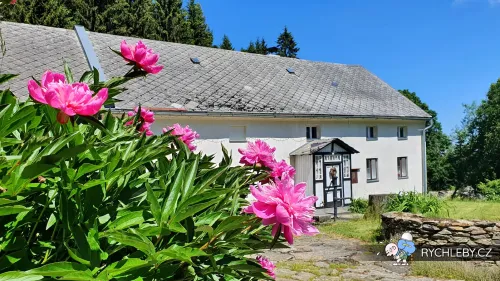 zalesi-040.webp