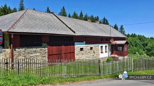zalesi-047.webp