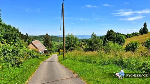 zalesi-054.webp