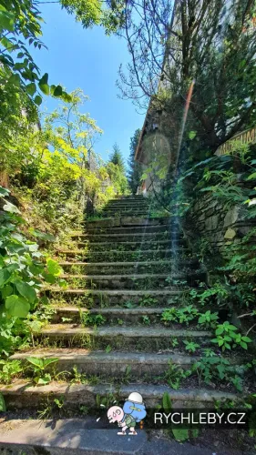 zalesi-056.webp