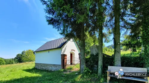 zalesi-059.webp