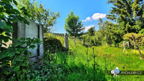 zalesi-066.webp