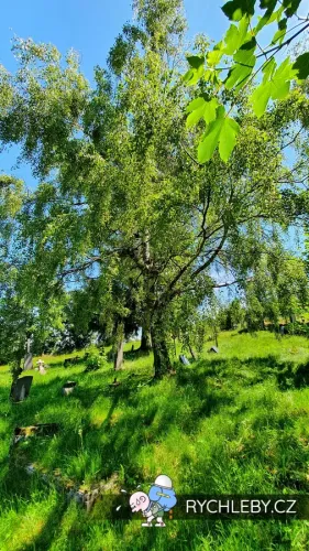 zalesi-070.webp