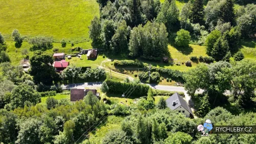 zalesi-089.webp