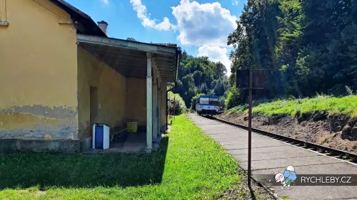 zlibek-14.webp