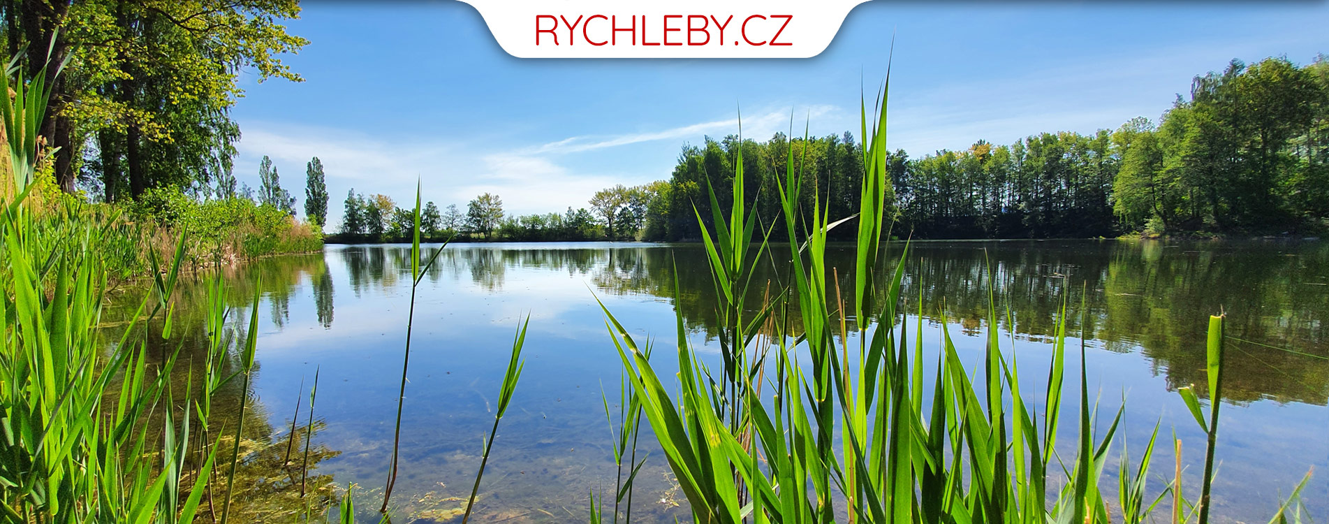 Rybník Pelnář v Uhelné - Rychleby