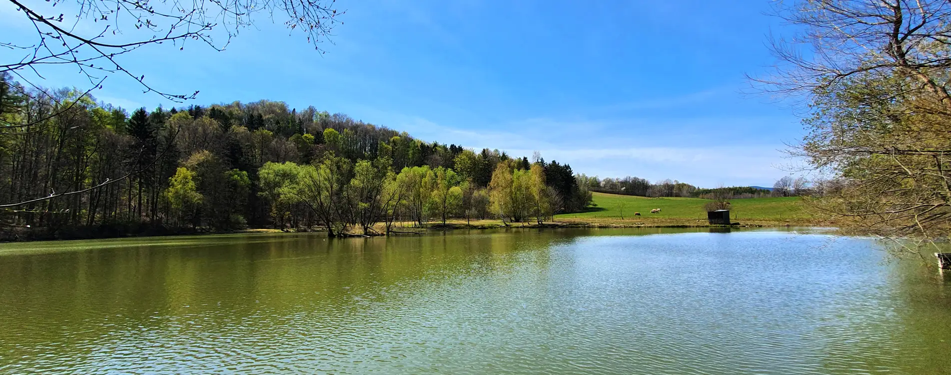 mobil_hlavicka_podhradsky_rybnik Podhradský rybník - Rychleby