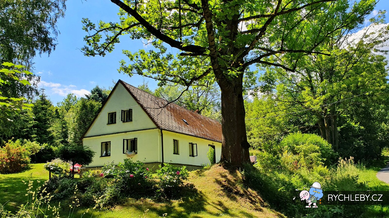 zalesi-profilova